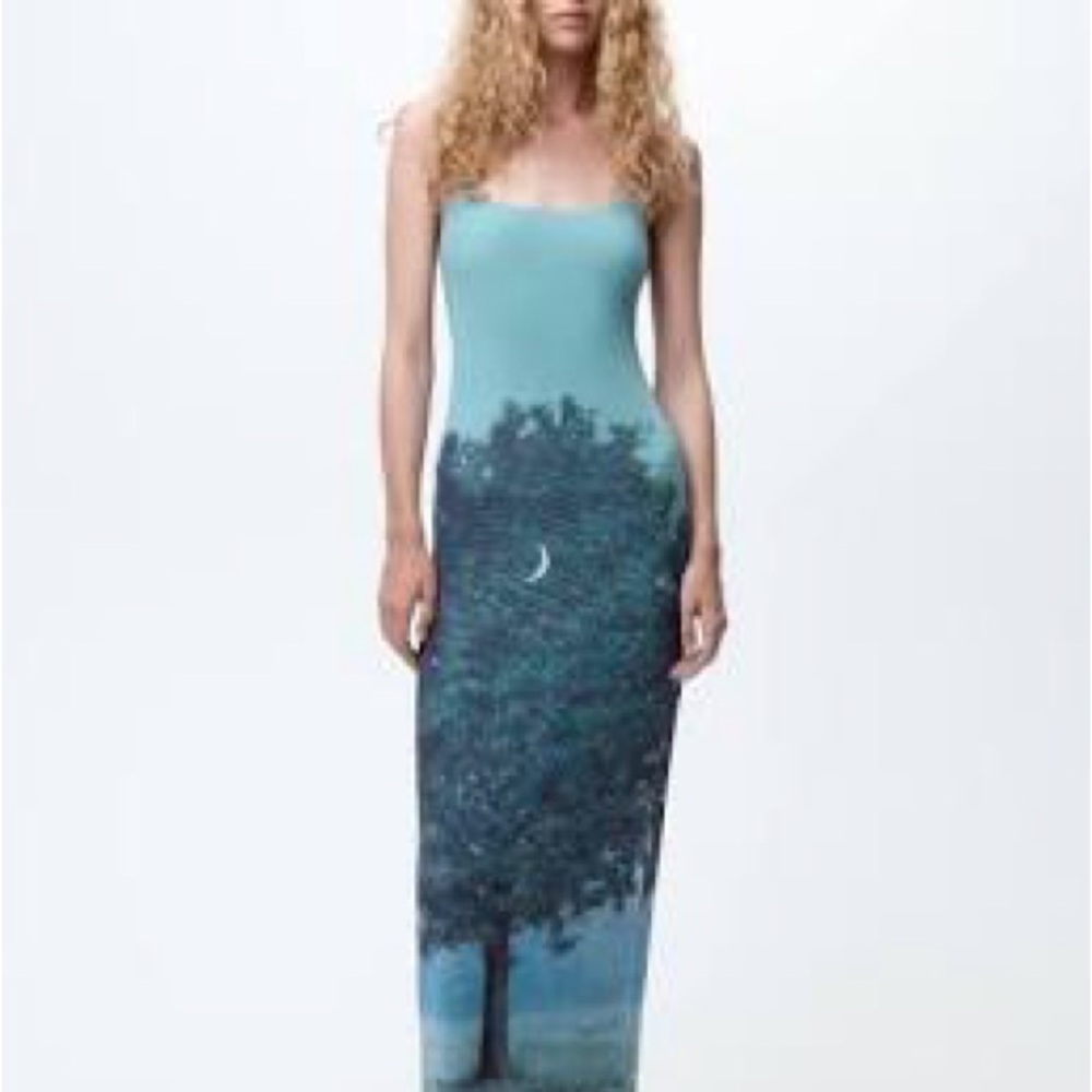 OBO Zara Rene Magritte dress